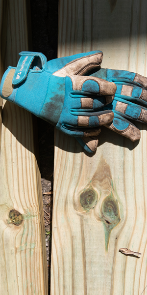 gettyimages-521959508-1024x1024