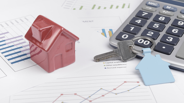 report-website-(9)-new